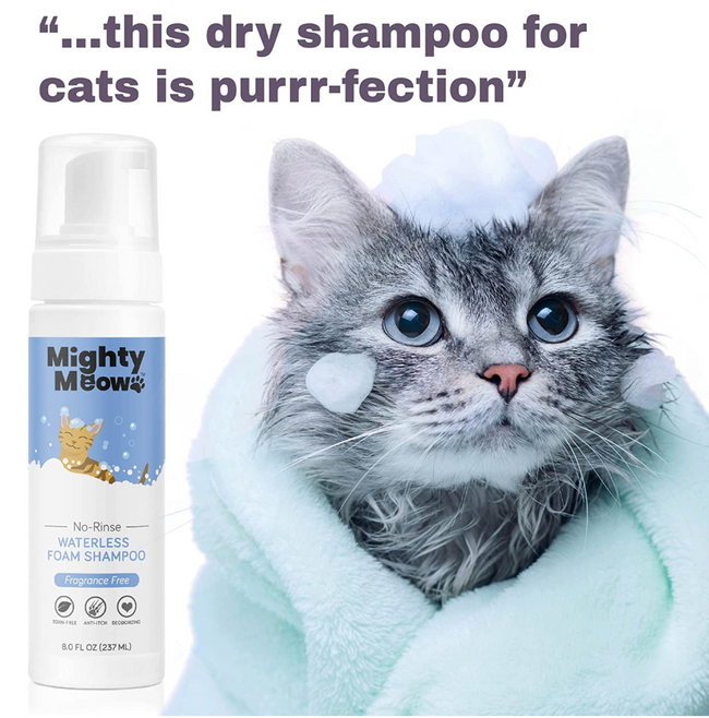 Spray shampoo for clearance cats